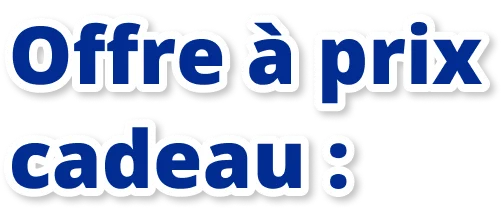 Offre à prix cadeau :
